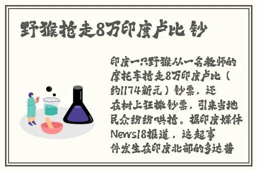 毛皮是纯还是在线观看