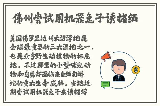 上下颠簸的公交车
